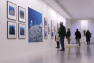 Inauguration de l'exposition de Laurent Ballesta - Villa Tamaris