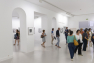 Exposition Flore, Le temps du souvenir, Le temps du souvenir/ Villa Tamaris